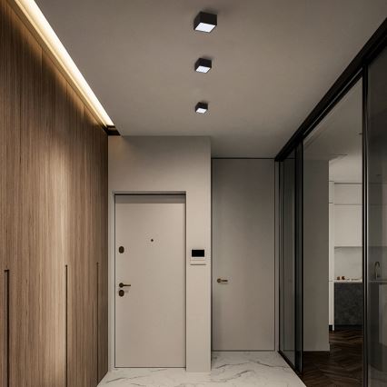 Immax Neo 07074L-15BD - Sada 2x LED Stmievateľné stropné svietidlo CANTO 2xLED/12W/230V + diaľkové ovládanie Tuya
