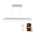 Immax NEO 07077L - LED Stmievateľný luster na lanku HIPODROMO LED/66W/230V Tuya