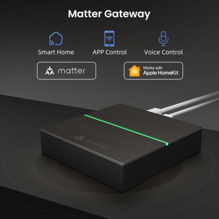 Immax NEO 07117-5 - MATTER BRIDGE inteligentná brána Zigbee 3.0 230 V Wi‑Fi