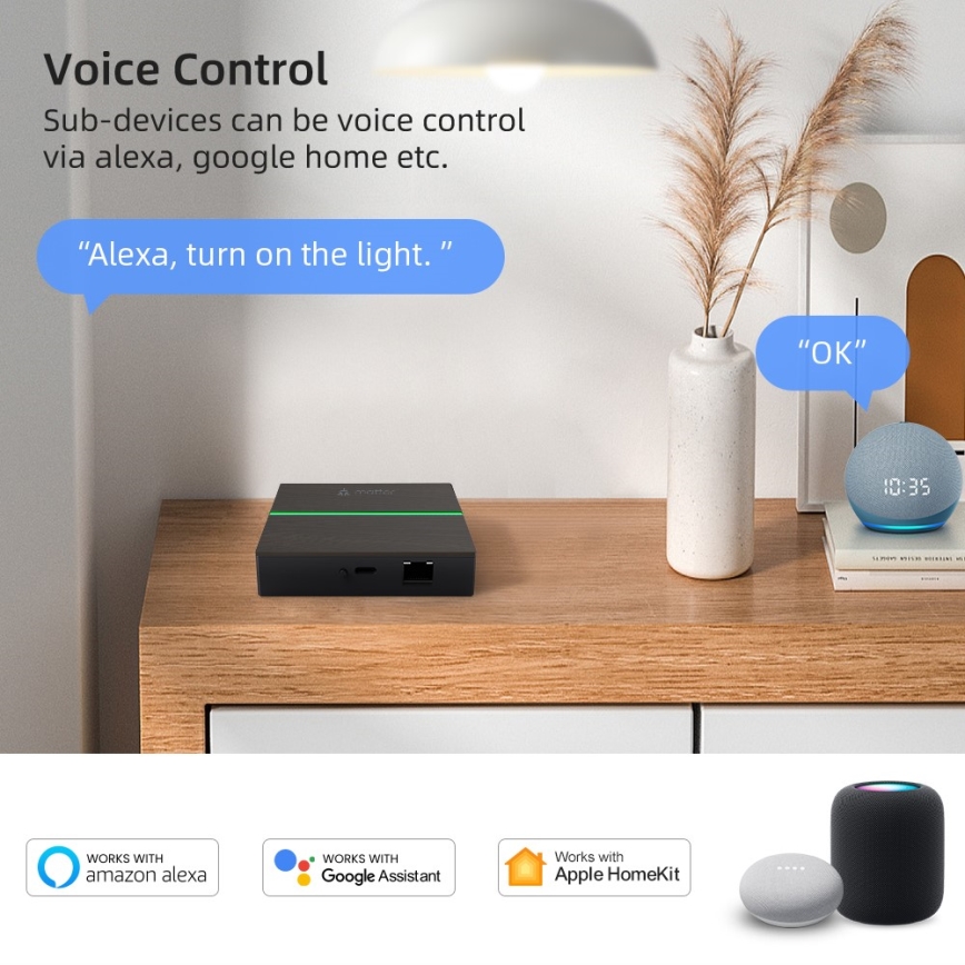 Immax NEO 07117-5 - MATTER BRIDGE inteligentná brána Zigbee 3.0 230 V Wi‑Fi