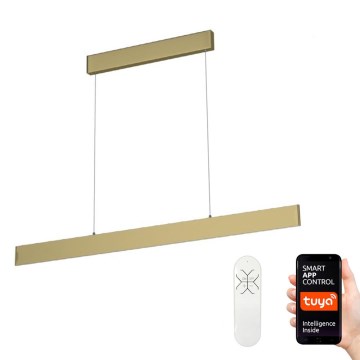 Immax Neo 07128L - LED Luster na lanku LISTON zlatá LED/18W/230V ZigBee + DO Tuya
