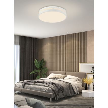 Immax NEO 07153-W30 - LED Stmievateľné stropné svietidlo NEO LITE PERFECTO LED/24W/230V Wi-Fi Tuya biela + diaľkové ovládanie