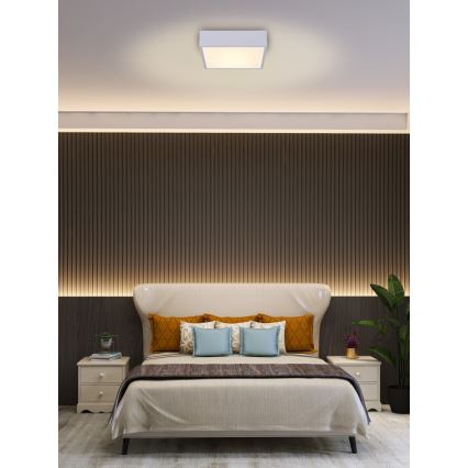 Immax NEO 07238L - LED Stmievateľné stropné svietidlo CANTO LED/22W/230V biela Tuya + diaľkové ovládanie