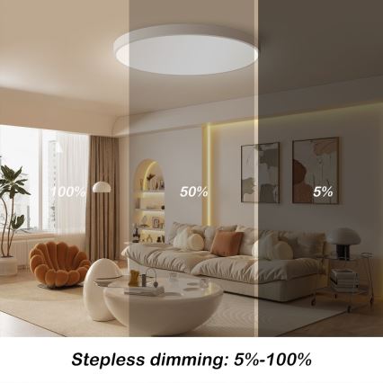 Immax NEO 07253L - LED Stmievateľné stropné svietidlo NEO LITE SEMPLICI LED/60W/230V 3000-6000K Wi-Fi Tuya biela + diaľkové ovládanie