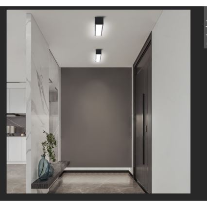 Immax NEO 07254L - LED Stmievateľné stropné svietidlo NEO LITE LUNGO LED/20W/230V 3000-6000K Wi-Fi Tuya čierna + diaľkové ovládanie