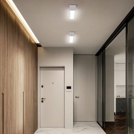 Immax NEO 07257L - LED Stmievateľné stropné svietidlo NEO LITE LUNGO LED/20W/230V 3000-6000K Wi-Fi Tuya biela + diaľkové ovládanie