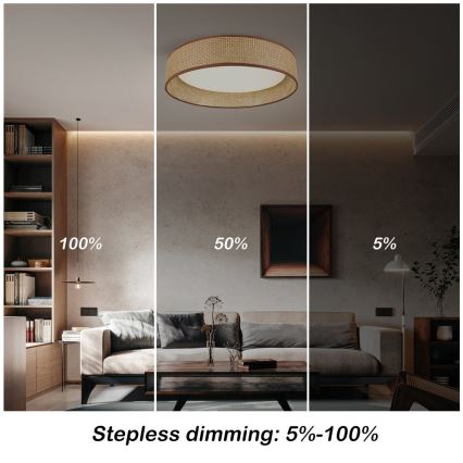 Immax NEO 07288L - LED+CCT stmievateľné stropné svietidlo LONA LED/36W/230V 3000-6000K Wi-Fi Tuya pr. 45,5 cm + diaľkové ovládanie