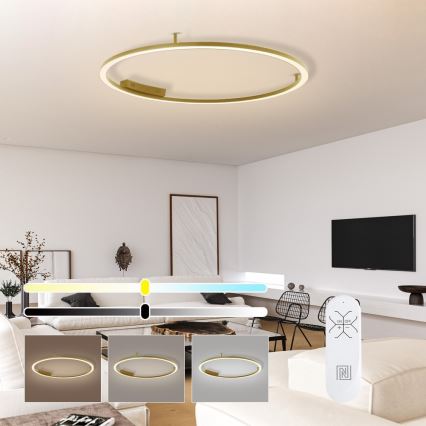 Immax NEO 07290-120G - LED+CCT Stmievateľné stropné svietidlo FINO LED/55W/230V 2700-6500K Tuya pr. 120 cm + diaľkové ovládanie