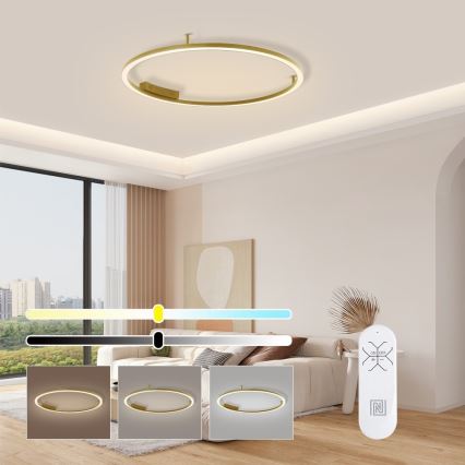 Immax NEO 07291-80G - LED+CCT stmievateľné stropné svietidlo FINO LED/55W/230V 2700-6500K Tuya priemer 80 cm + diaľkové ovládanie