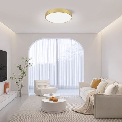 Immax NEO 07292L - LED+CCT Stmievateľné stropné svietidlo SEMPLICI LED/36W/230V 2700-6500K pr. 40 cm + diaľkové ovládanie