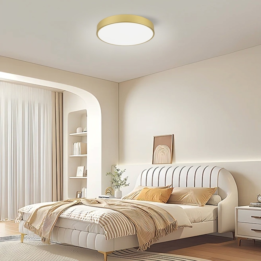 Immax NEO 07292L - LED+CCT Stmievateľné stropné svietidlo SEMPLICI LED/36W/230V 2700-6500K pr. 40 cm + diaľkové ovládanie