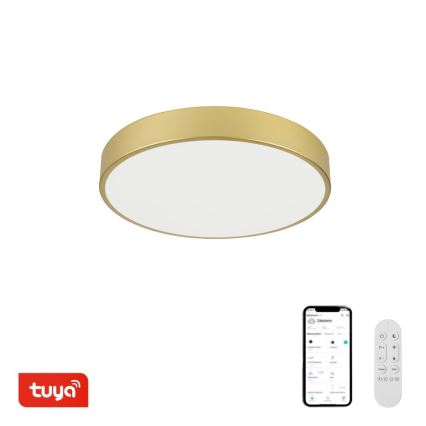 Immax NEO 07292L - LED+CCT Stmievateľné stropné svietidlo SEMPLICI LED/36W/230V 2700-6500K pr. 40 cm + diaľkové ovládanie