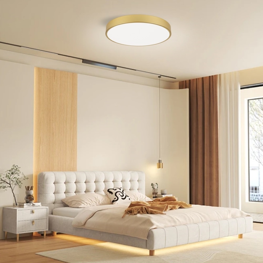 Immax NEO 07293L - LED+CCT Stmievateľné stropné svietidlo SEMPLICI LED/60W/230V 2700-6500K priemer 60 cm + diaľkové ovládanie