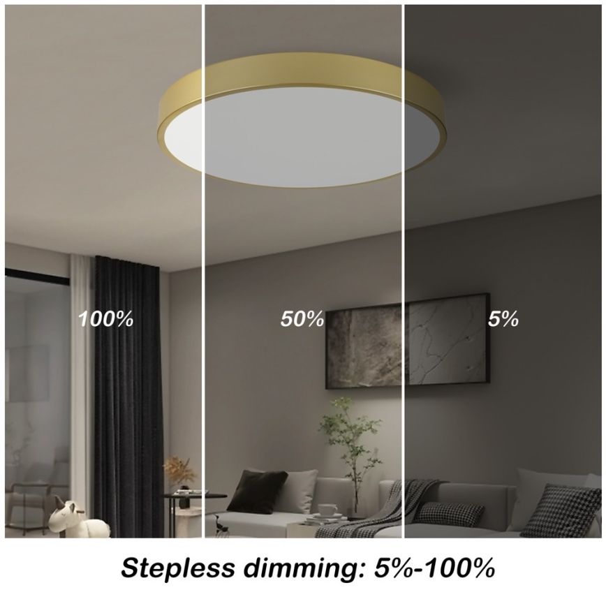 Immax NEO 07293L - LED+CCT Stmievateľné stropné svietidlo SEMPLICI LED/60W/230V 2700-6500K priemer 60 cm + diaľkové ovládanie