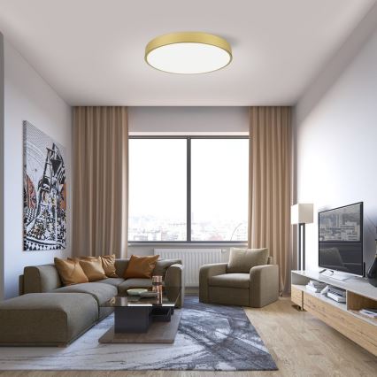 Immax NEO 07293L - LED+CCT Stmievateľné stropné svietidlo SEMPLICI LED/60W/230V 2700-6500K priemer 60 cm + diaľkové ovládanie