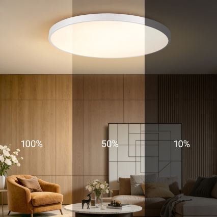 Immax NEO 07316L - LED stmievateľné stropné svietidlo SEMPLICI LED/128W/230V pr. 100 cm Wi-Fi Tuya biela + diaľkové ovládanie