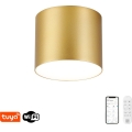 Immax NEO 07317L - LED stmievateľné stropné svietidlo RONDATE LED/18W/230V pr. 11,5cm Wi-Fi Tuya zlatá