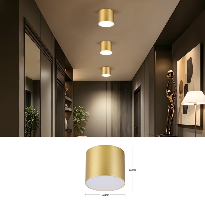 Immax NEO 07318L - LED stmievateľné stropné svietidlo RONDATE LED/32W/230V pr. 16,5 cm Wi-Fi Tuya zlatá