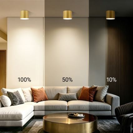 Immax NEO 07318L - LED stmievateľné stropné svietidlo RONDATE LED/32W/230V pr. 16,5 cm Wi-Fi Tuya zlaté