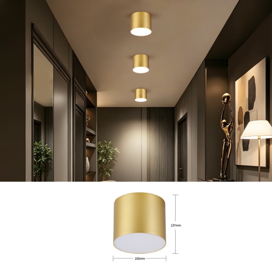 Immax NEO 07318L - LED stmievateľné stropné svietidlo RONDATE LED/32W/230V pr. 16,5 cm Wi-Fi Tuya zlaté