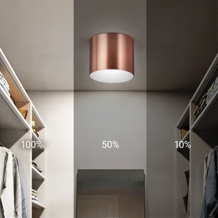 Immax NEO 07319L - LED stmievateľné stropné svietidlo RONDATE LED/18W/230V priemer 11,5 cm Wi-Fi Tuya ružové zlato