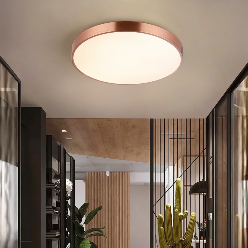 Immax NEO 07322L - LED stmievateľné stropné svietidlo NEO LITE SEMPLICI LED/60W/230V, priemer 60 cm, v medenej farbe + diaľkové ovládanie
