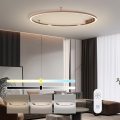 Immax NEO 07325-120C - Stmievateľné LED stropné svietidlo FINO LED/72W/230V 120 cm Tuya rose gold + diaľkové ovládanie