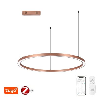 Immax NEO 07327L - LED stmievateľný luster na lane FINO LED/55W/230V 80 cm ružové zlato Tuya + diaľkové ovládanie
