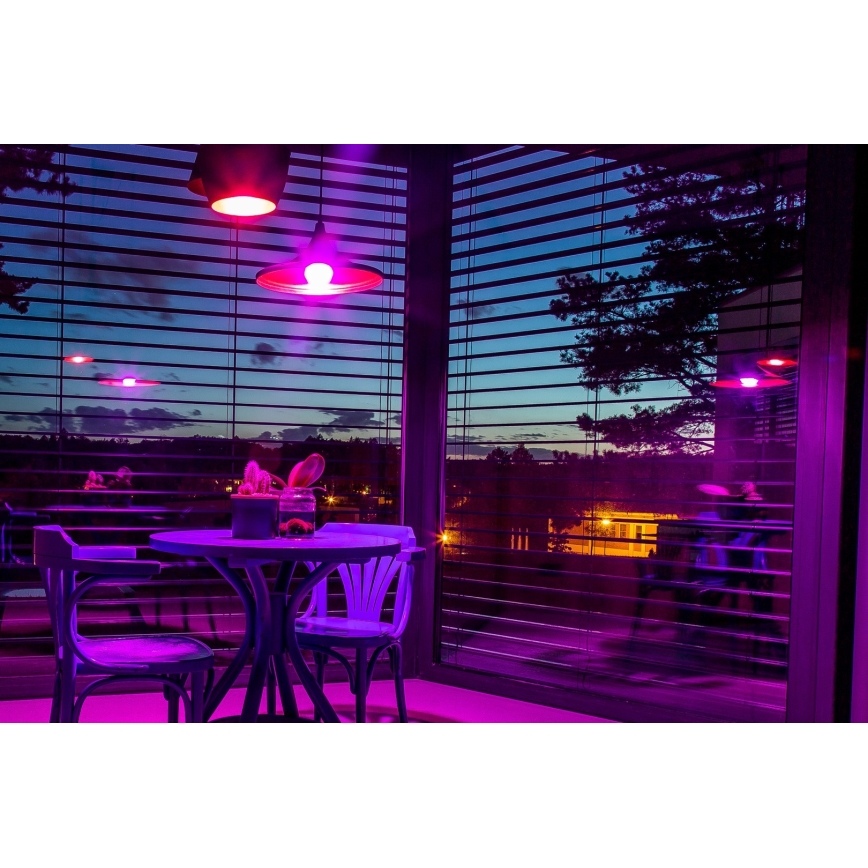 Immax NEO 07745CDO - SADA 3x stmievateľných LED žiaroviek RGB+CCT E14/6W/230V Wi-Fi + diaľkové ovládanie