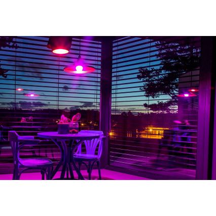 Immax NEO 07794CDO - SADA 3 ks LED RGB+CCT stmievateľné žiarovky E27/14W/230V 2700K-6500K Tuya Wi‑Fi + diaľkové ovládanie