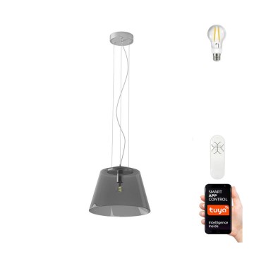 Immax NEO - LED Stmievateľný luster na lanku CONO 1xE27/8,5W/230V 32 cm + DO Immax NEO - LED Stmievateľný luster na lanku CONO 1xE27/8,5W/230V 32 cm + DO