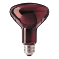 Infračervená žiarovka HELIOS R95 E27/100W/230V