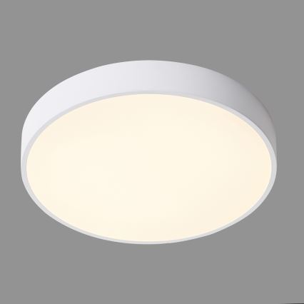 ITALUX - LED Stropné svietidlo ORBITAL LED/30W/230V 3000K biela