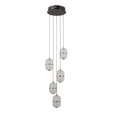 ITALUX - LED luster na lankách ALANI 5xLED/5,6W/230V 3000K čierna/zlatá