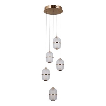 ITALUX - LED luster na lanku ALANI 5xLED/5,6W/230V 3000K zlatý