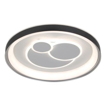 ITALUX - LED stmievateľné stropné svietidlo FLORINA LED/46W/230V 3000/4000/6500K pr. 49 cm čierne + diaľkové ovládanie