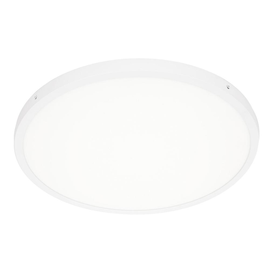 ITALUX - LED Stropné svietidlo PELARO LED/36W/230V 4000K pr. 50 cm biela