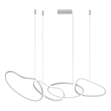 ITALUX - LED závesný luster na lanku FONTE LED/60W/230V 3000/4000/6000K biela