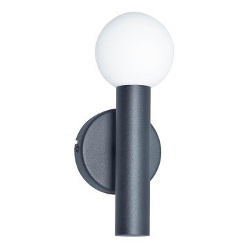 ITALUX - Nástenné svietidlo FILANO 1xG9/5W/230V čierne