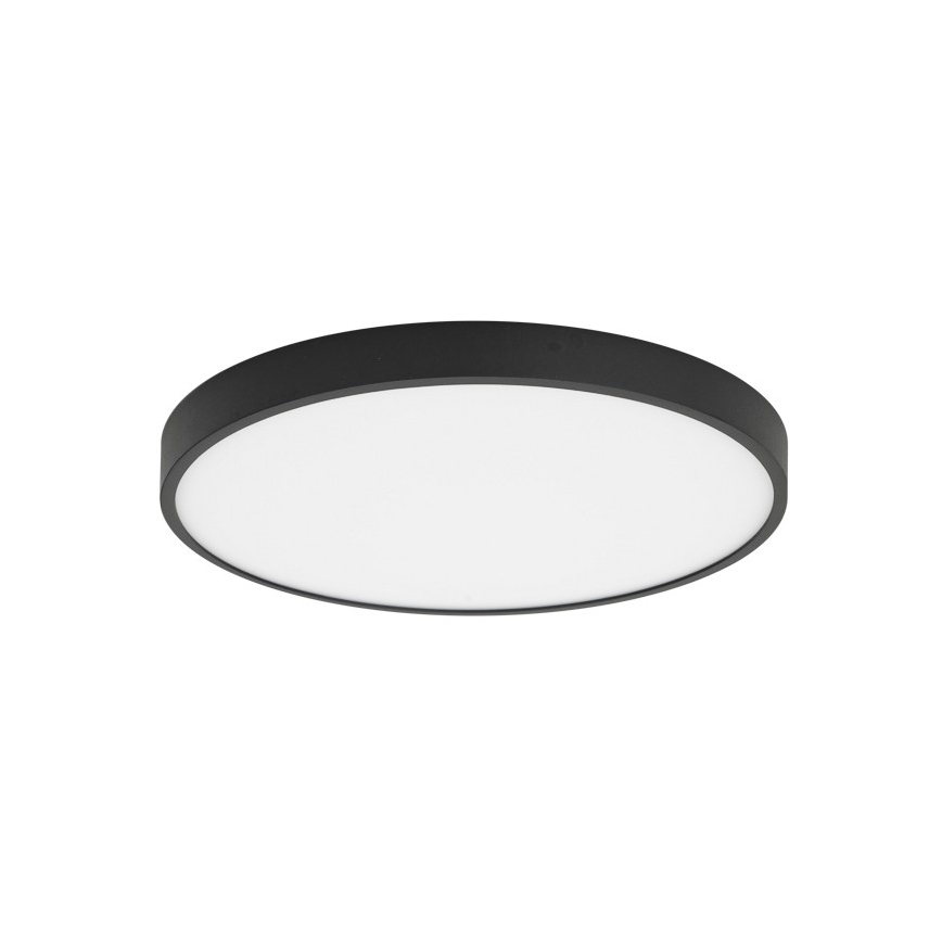 ITALUX - LED Stropné svietidlo RIBERIO LED/30W/230V 4000K čierna