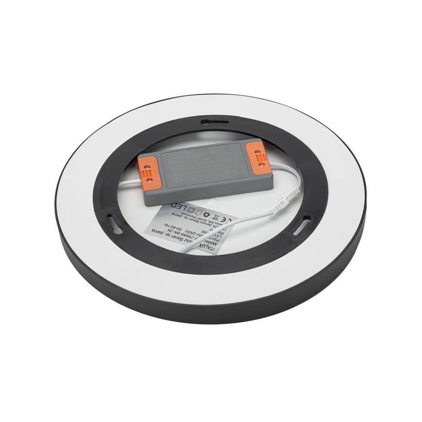 ITALUX - LED Stropné svietidlo RIBERIO LED/30W/230V 4000K čierna