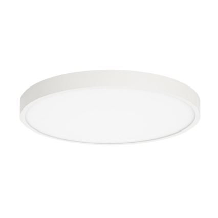 ITALUX - LED Stropné svietidlo RIBERIO LED/30W/230V 4000K biela