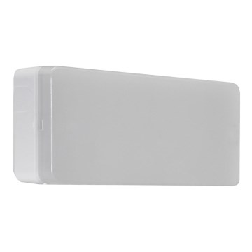 Iverlux ESERA 100L LED - LED núdzové svítidlo LED/1,4W/230V IP44 6500K