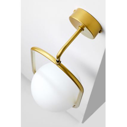 Jupiter 2043 - Nástenná lampa IGON 1xE14/40W/230V zlatá