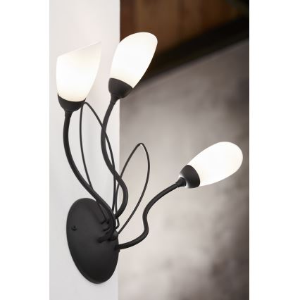 Jupiter 2059 - Nástenné svietidlo GLORIOSA 3xG9/14W/230V čierna