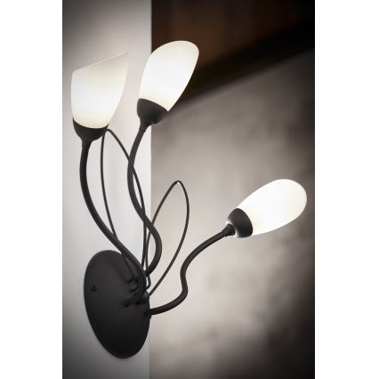 Jupiter 2059 - Nástenné svietidlo GLORIOSA 3xG9/14W/230V čierna