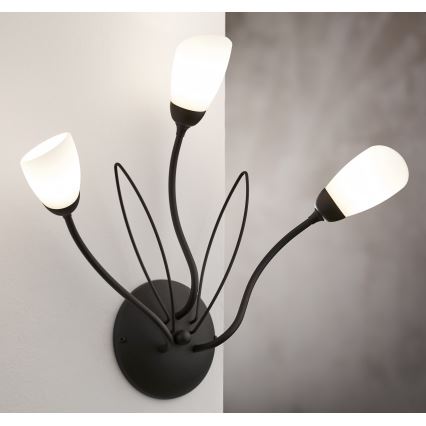 Jupiter 2059 - Nástenné svietidlo GLORIOSA 3xG9/14W/230V čierna