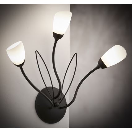 Jupiter 2059 - Nástenné svietidlo GLORIOSA 3xG9/14W/230V čierna