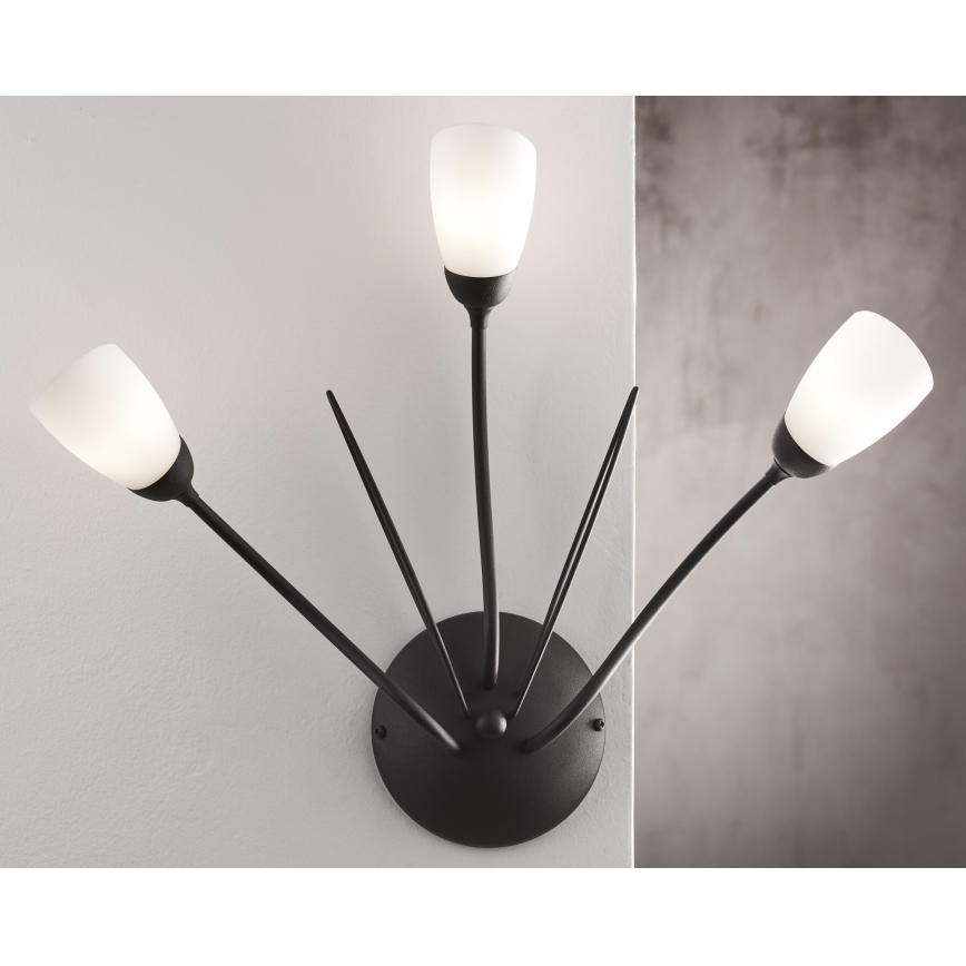 Jupiter 2059 - Nástenné svietidlo GLORIOSA 3xG9/14W/230V čierna