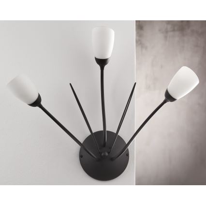 Jupiter 2059 - Nástenné svietidlo GLORIOSA 3xG9/14W/230V čierna